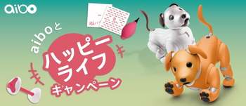 2020_HappyLife_with_aibo_Campaign_01.jpg